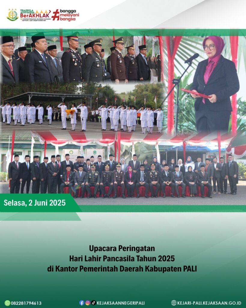 WhatsApp Image 2025-06-02 at 15.06.09