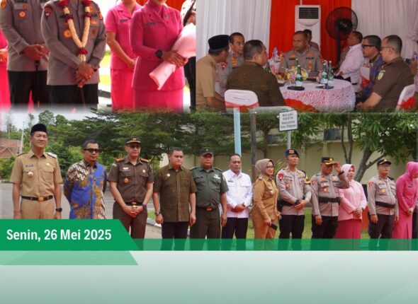 WhatsApp Image 2025-06-02 at 16.52.59