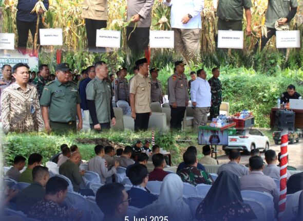 WhatsApp Image 2025-06-05 at 14.30.08 (1)