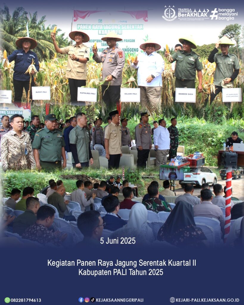 WhatsApp Image 2025-06-05 at 14.30.08 (1)