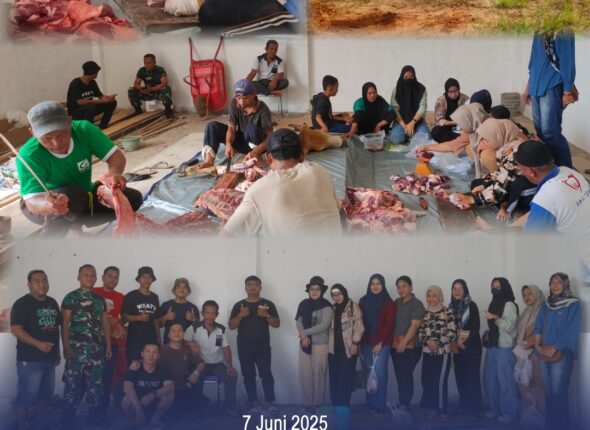 WhatsApp Image 2025-06-07 at 22.23.34