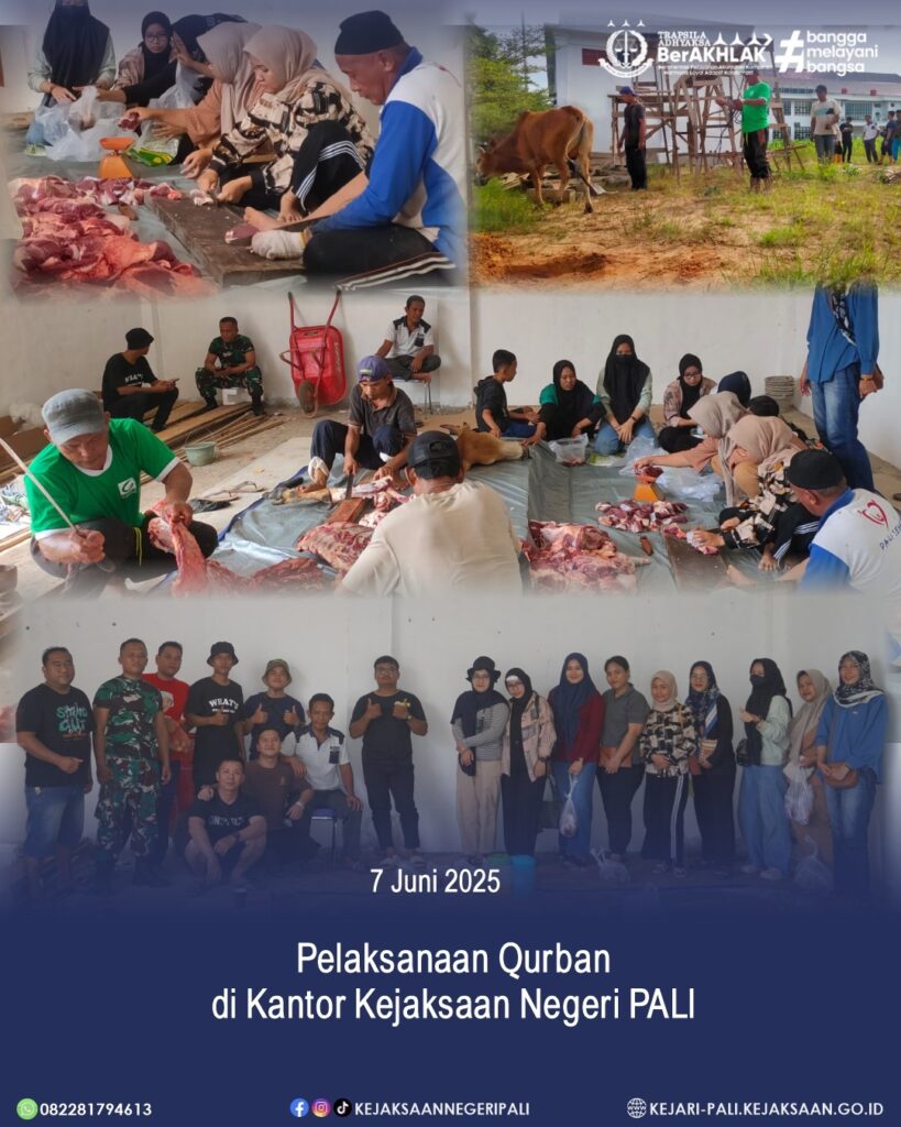 WhatsApp Image 2025-06-07 at 22.23.34