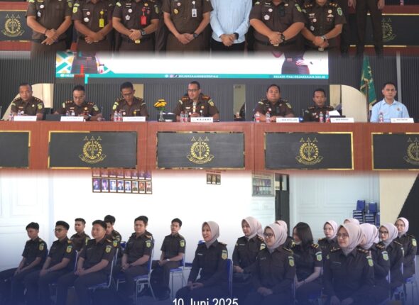 WhatsApp Image 2025-06-10 at 18.23.46