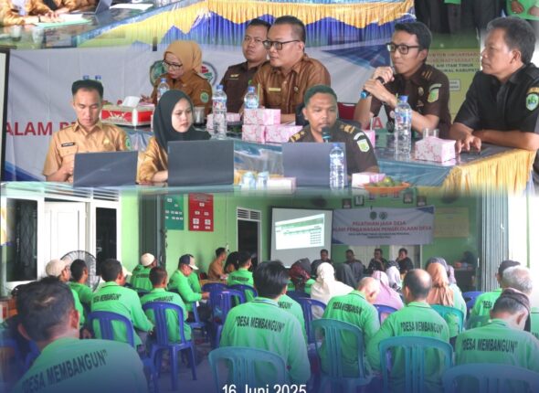 WhatsApp Image 2025-06-16 at 15.30.03