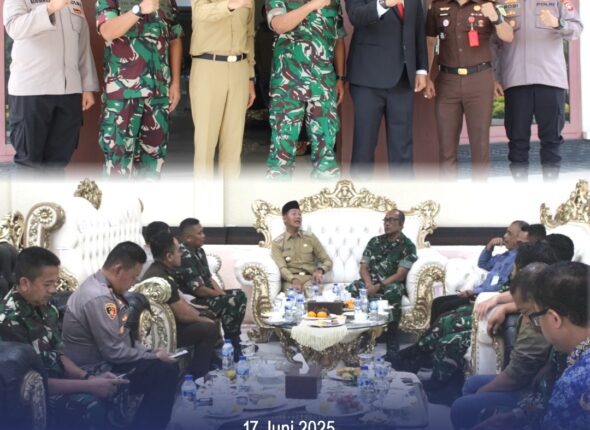 WhatsApp Image 2025-06-17 at 17.35.49