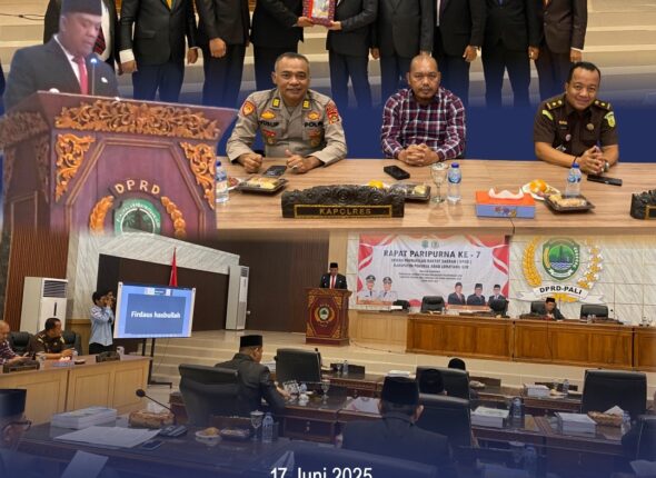 WhatsApp Image 2025-06-17 at 19.06.21