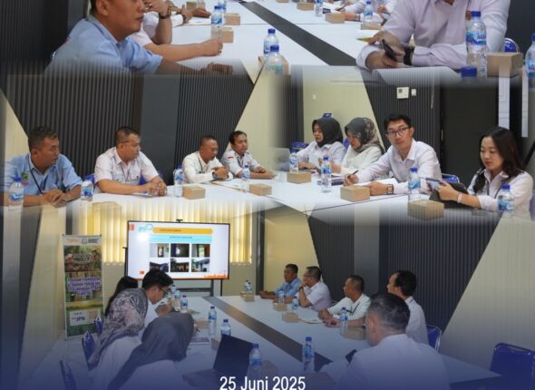 WhatsApp Image 2025-06-25 at 17.12.33