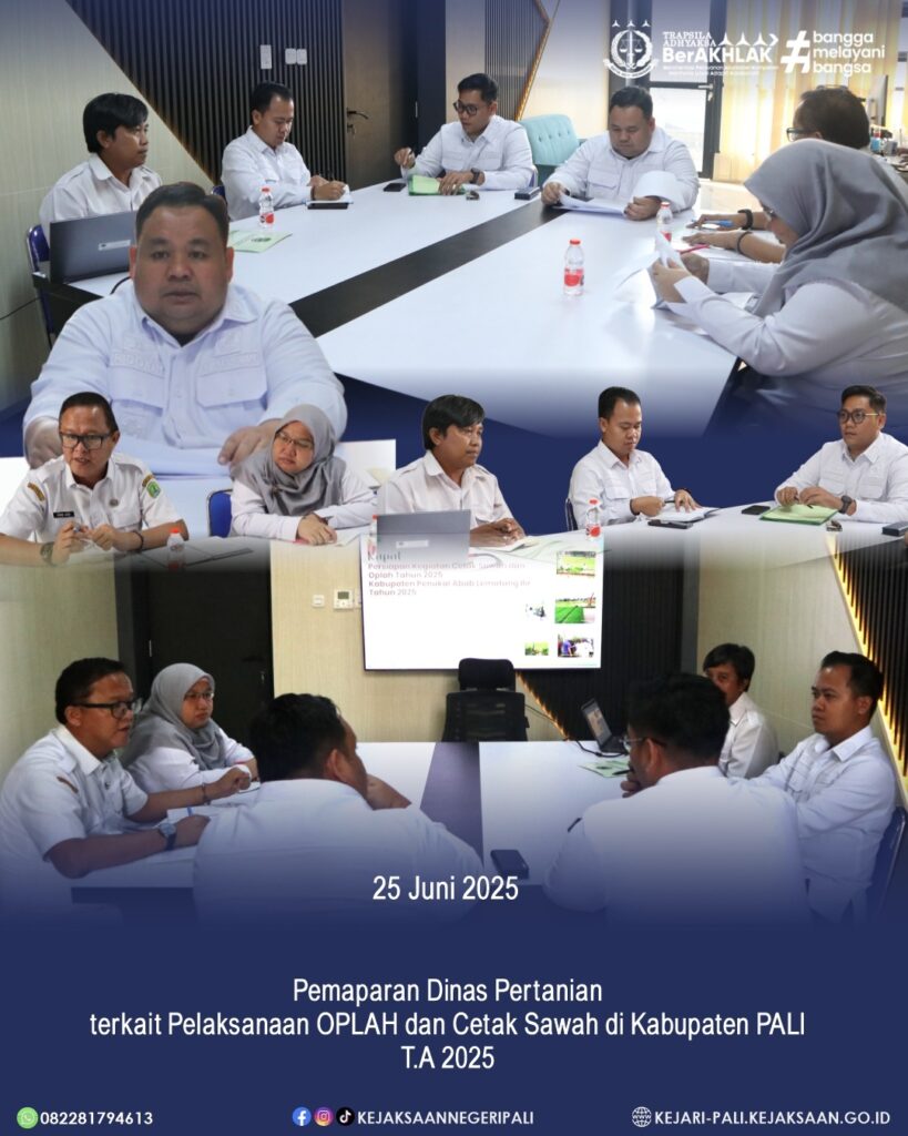 WhatsApp Image 2025-06-25 at 18.55.14