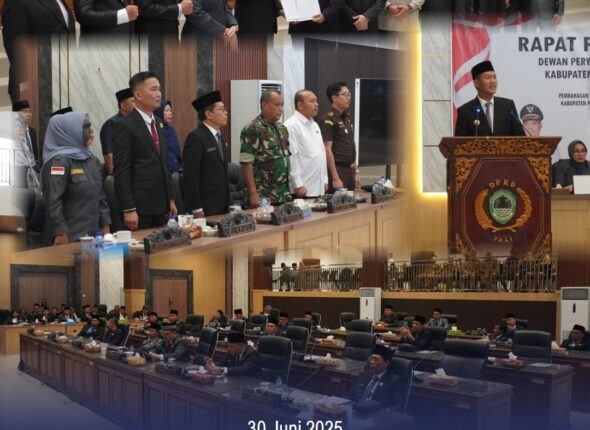 WhatsApp Image 2025-06-30 at 19.16.49