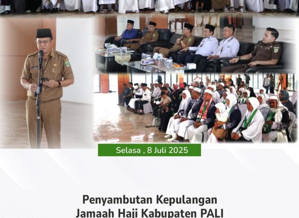 WhatsApp Image 2025-07-08 at 16.56.18