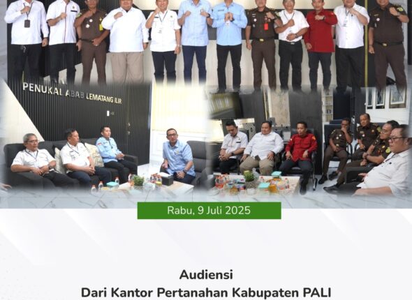 WhatsApp Image 2025-07-09 at 20.29.27