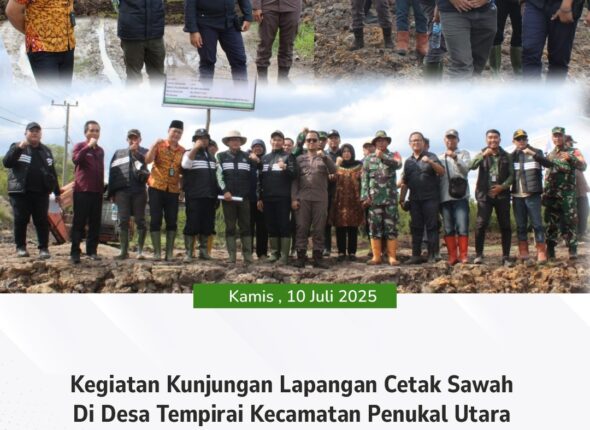 WhatsApp Image 2025-07-11 at 08.07.51