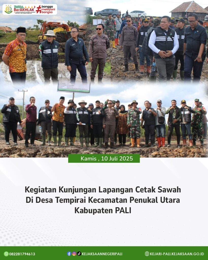 WhatsApp Image 2025-07-11 at 08.07.51