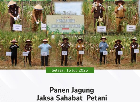 WhatsApp Image 2025-07-15 at 16.08.20