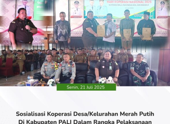 WhatsApp Image 2025-07-21 at 16.42.08