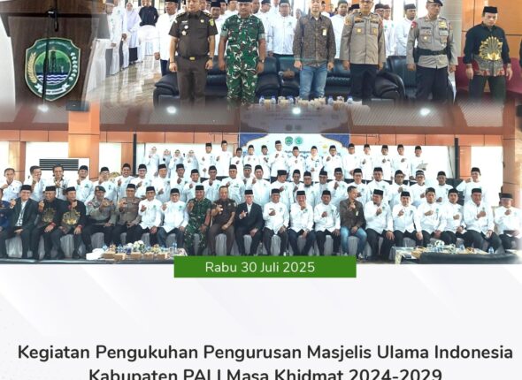 WhatsApp Image 2025-07-30 at 17.07.23